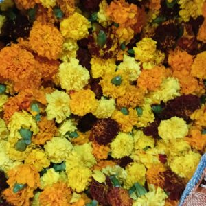 Fresh mixed marigold flowers 100g
